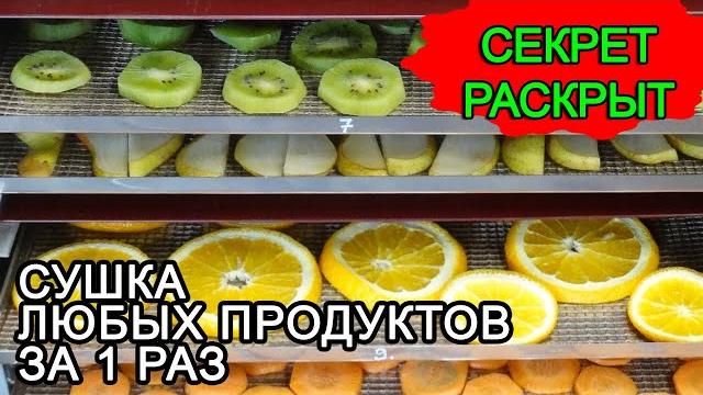 Сушка овощей, фруктов, ягод, трав, чая в инфракрасной сушилке за 1 раз. обзор ик сушилки флексихит Сушка овощей, фруктов, ягод, трав, чая в инфракрасной сушилке за 1 раз. обзор ик сушилки флексихит