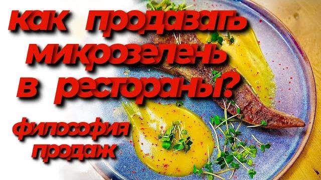 Как продавать микрозелень в рестораны? продажи микрозелени! философия продаж! бизнес на микрозелени! Как продавать микрозелень в рестораны? продажи микрозелени! философия продаж! бизнес на микрозелени!