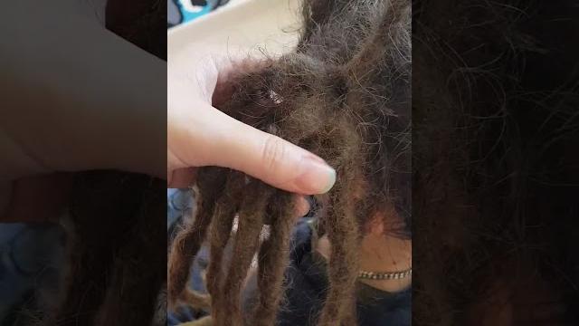 Сросшиеся дреды! #дреды #dreads #натуральныедреды #дредыизсвоихволос #подплетение #новосибирск Сросшиеся дреды! #дреды #dreads #натуральныедреды #дредыизсвоихволос #подплетение #новосибирск