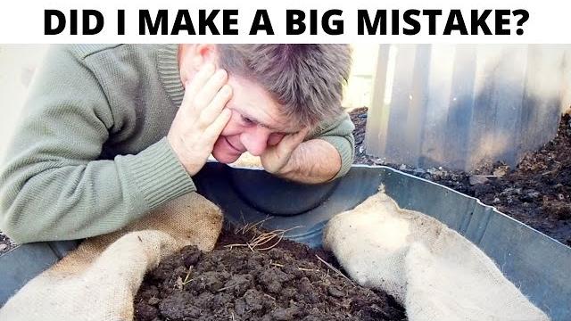 Half barrel worm farm update winter worries Half barrel worm farm update winter worries