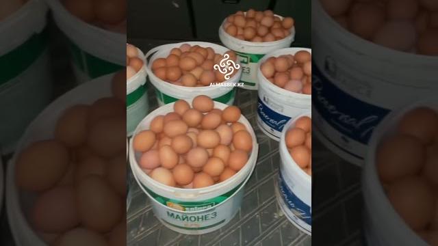1000 тауық 930 жұмыртқа беріп отыр. фермердің мұнымен тоқтағысы жоқ. қораларыңыз тауыққа толсын)) 1000 тауық 930 жұмыртқа беріп отыр. фермердің мұнымен тоқтағысы жоқ. қораларыңыз тауыққа толсын))