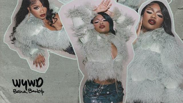 Baha bank$ - wywd (official single) Baha bank$ - wywd (official single)