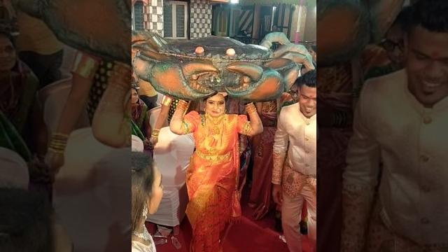 Agri koli wedding dance #agrikoli #agri #koli #brassband #weddingdance #koligeet #viral #shorts Agri koli wedding dance #agrikoli #agri #koli #brassband #weddingdance #koligeet #viral #shorts