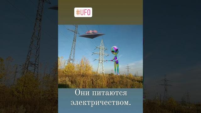 Они питаются. 9 октября 2021 г. Они питаются. 9 октября 2021 г.