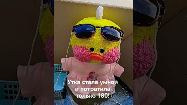 Утка умная! #lalafanfan #лалафанфан Утка умная! #lalafanfan #лалафанфан