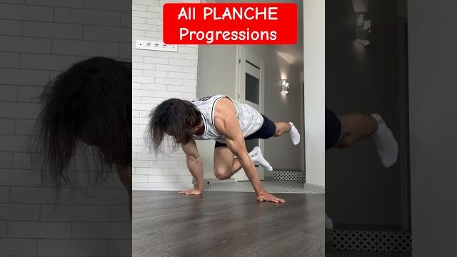 All planche progressions All planche progressions