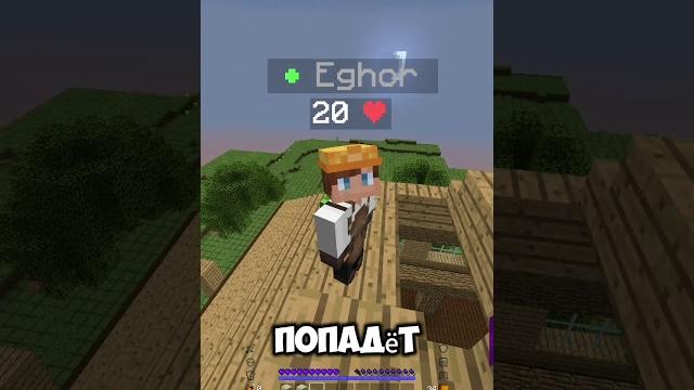Проверка игроков на знание minecraft #minecraft Проверка игроков на знание minecraft #minecraft