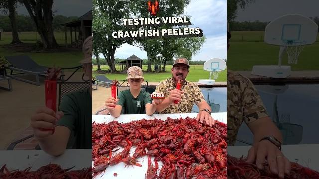 Testing viral crawfish peelers Testing viral crawfish peelers