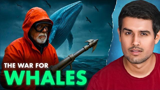 Inside antarctica’s secret whale war | dhruv rathee Inside antarctica’s secret whale war | dhruv rathee