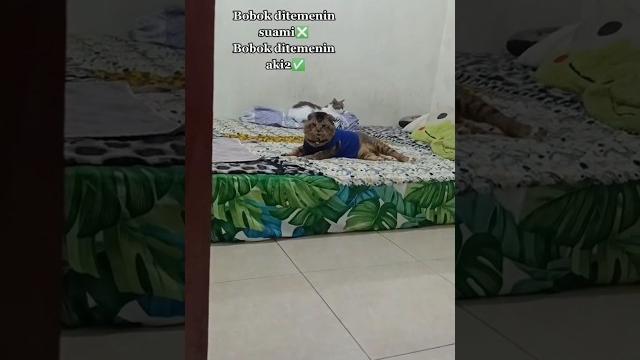 Kakek ganteng ini mah Kakek ganteng ini mah