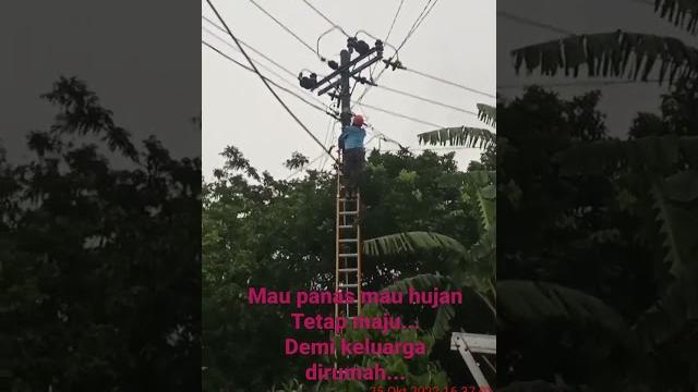 Pekerja pln Pekerja pln
