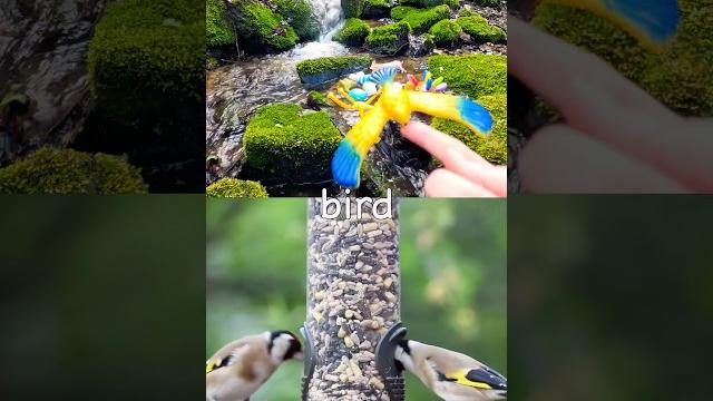 Kids learn | animal names at the waterfall: duck zebra bird alligator pig #summeronshorts Kids learn | animal names at the waterfall: duck zebra bird alligator pig #summeronshorts