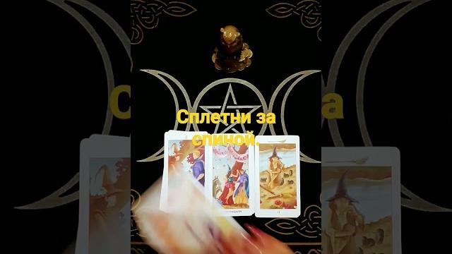Сплетни за спиной. Сплетни за спиной.