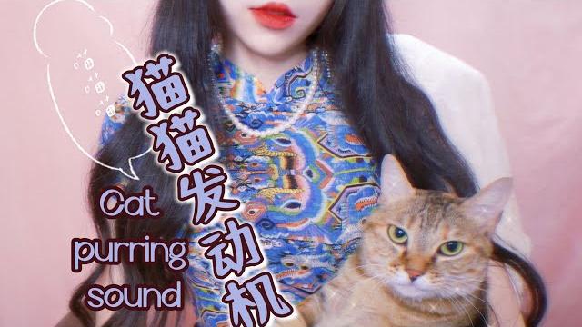 【asmr】小羊喵 猫猫发动机~猫咪驯服人类珍贵影像~ 放松/助眠/哄睡 【asmr】小羊喵 猫猫发动机~猫咪驯服人类珍贵影像~ 放松/助眠/哄睡