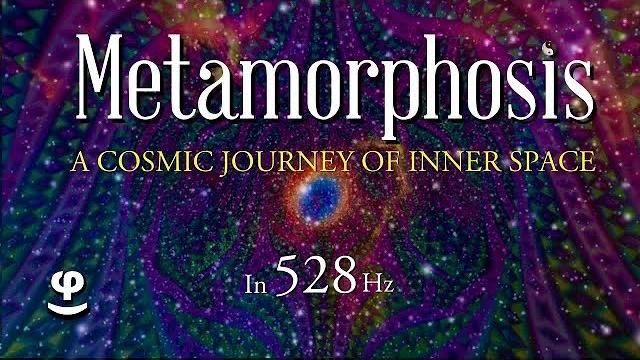 Metamorphosis | fords playground | 528hz Metamorphosis | fords playground | 528hz