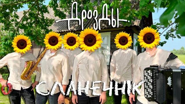 Дрозды - сланечнiк (родны край, премьера 2022) Дрозды - сланечнiк (родны край, премьера 2022)