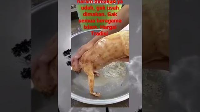 Makan kucing, dibuat rica-rica. makanan ini non halal bagi islam. tidak suka skip saja. Makan kucing, dibuat rica-rica. makanan ini non halal bagi islam. tidak suka skip saja.