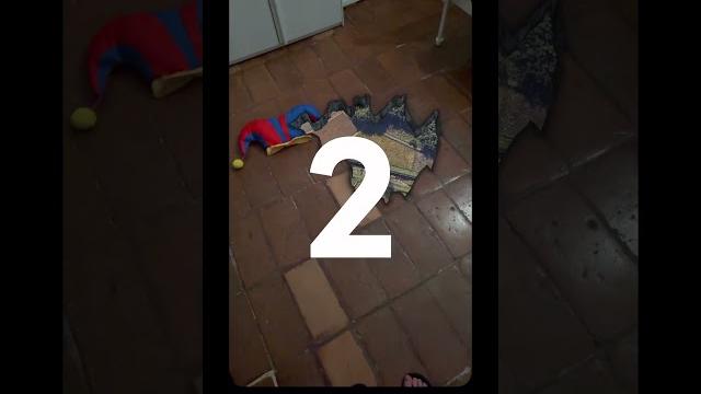 1 agosto 2024 1 agosto 2024