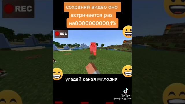 Марви Марви