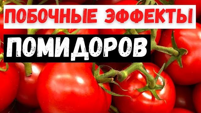 Вред помидоров Вред помидоров