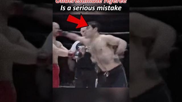 The referee is the true mvp of this battle#mma The referee is the true mvp of this battle#mma