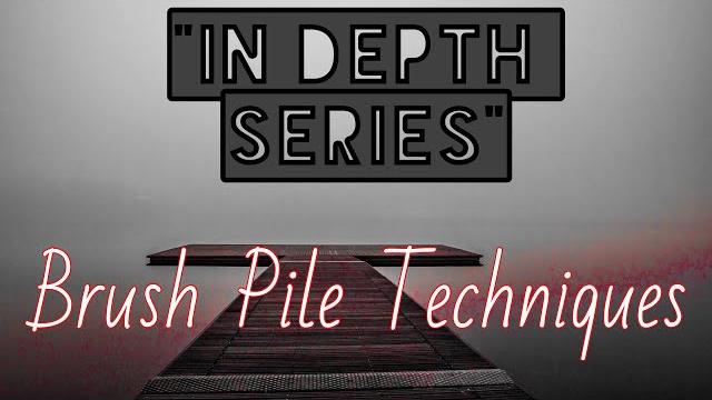 Brush pile fishing in depth Brush pile fishing in depth