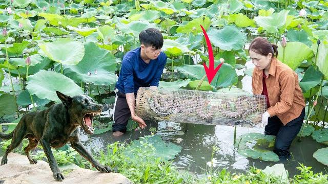 Smart dog faces mysterious creature in lotus pond - what did female hunter do with the iron cage? Smart dog faces mysterious creature in lotus pond - what did female hunter do with the iron cage?