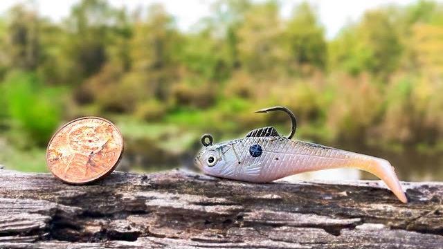 Tiny swimbait fishing challenge (micro lure) Tiny swimbait fishing challenge (micro lure)