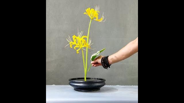 从来不与争春色,只愿一生发亮光。 #艺术创作 #艺术 #flowers #flowerarrangement #flowermaking 从来不与争春色,只愿一生发亮光。 #艺术创作 #艺术 #flowers #flowerarrangement #flowermaking