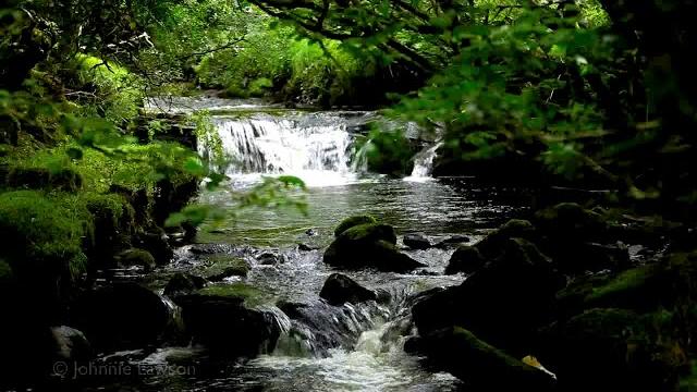 Relaxing waterfall nature sounds-natural music of birds chirping-sleeping bird sound meditation Relaxing waterfall nature sounds-natural music of birds chirping-sleeping bird sound meditation