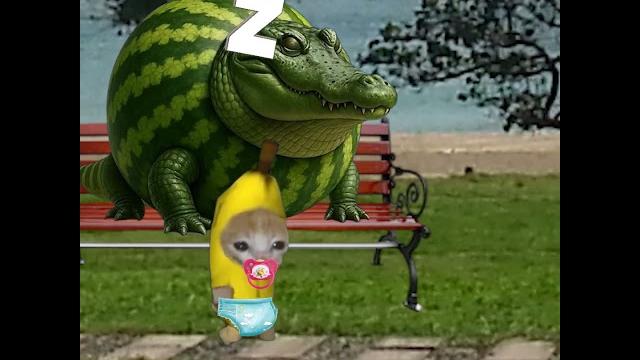 Banana cat baby & brainrot memes chaotie life 39 #memes #cat #bananacat #brainrot #catmemes Banana cat baby & brainrot memes chaotie life 39 #memes #cat #bananacat #brainrot #catmemes
