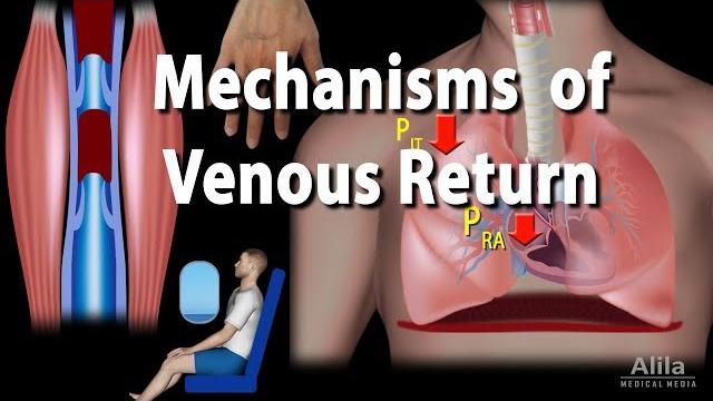 Mechanisms of venous return, animation Mechanisms of venous return, animation