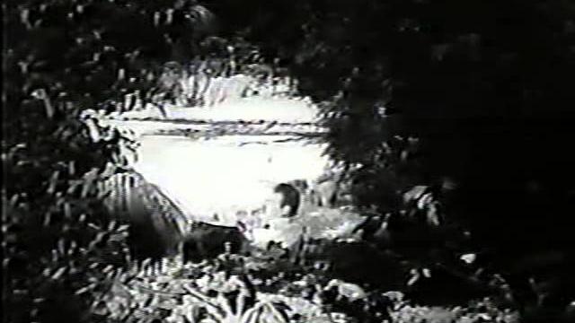 Jungle queen and congo bill caught in quicksand Jungle queen and congo bill caught in quicksand