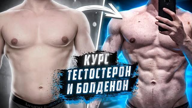 Курс тестостерон и болденон | составление, подбор доз, контроль анализов | протокол курса Курс тестостерон и болденон | составление, подбор доз, контроль анализов | протокол курса