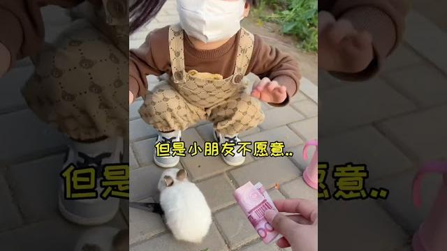 【雪球日记】希望小兔能健康长大!大家说叫它小白还是香菜呢? 【雪球日记】希望小兔能健康长大!大家说叫它小白还是香菜呢?
