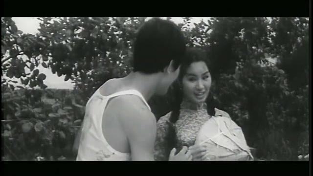經典國片《張帝找阿珠》楊麗花,若有版權問題請告知會下架,禁止二次利用 經典國片《張帝找阿珠》楊麗花,若有版權問題請告知會下架,禁止二次利用