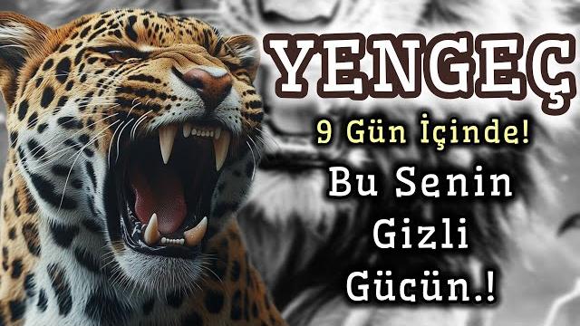 Yengeç burcu 9 gün i̇çinde.! Yengeç burcu 9 gün i̇çinde.!