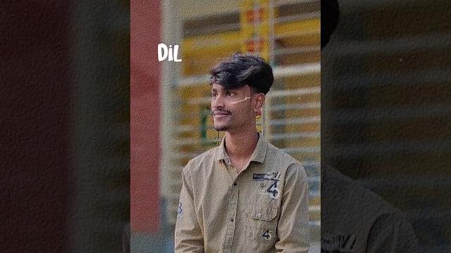 Dille Dille