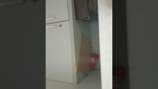爱爱 爱爱