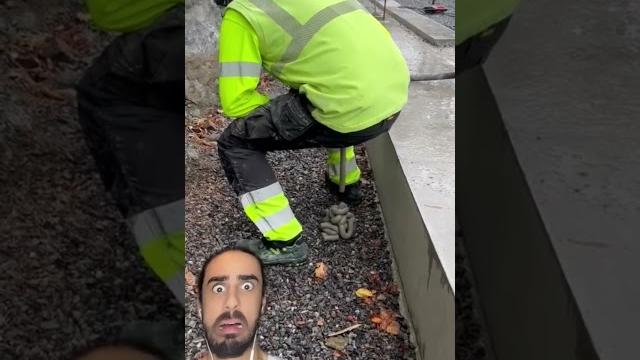Caca Caca