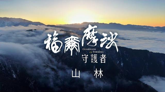 賀!舒夢蘭《福爾摩沙守護者》勇奪第56屆金鐘獎《4k sdr》山林篇 《聚焦全世界》第50期 (中英文字幕) |舒夢蘭|guardians of formosa : mountain forest 賀!舒夢蘭《福爾摩沙守護者》勇奪第56屆金鐘獎《4k sdr》山林篇 《聚焦全世界》第50期 (中英文字幕) |舒夢蘭|guardians of formosa : mountain forest