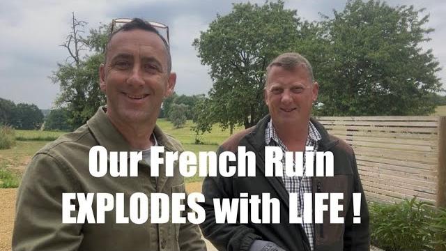 Our french ruin explodes with life! (58) Our french ruin explodes with life! (58)