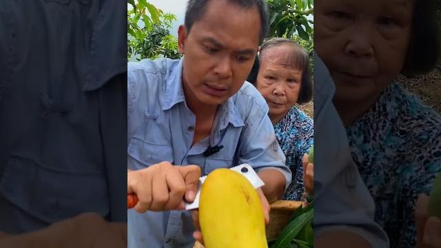 Natural sweet mangoes which are from hilly area are very juicy. #agriculture #farming #.mango Natural sweet mangoes which are from hilly area are very juicy. #agriculture #farming #.mango