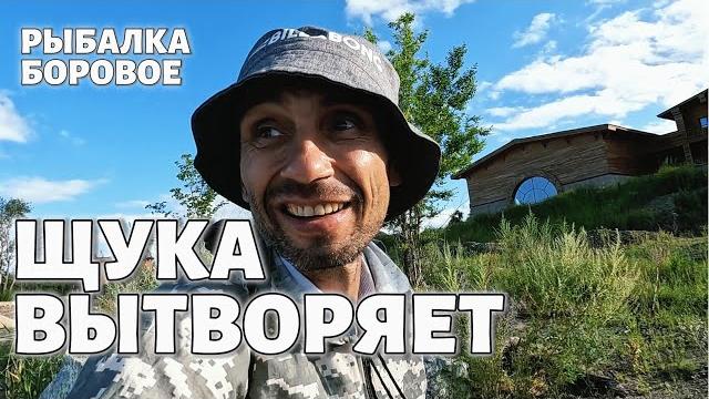 Щука вытворяет #рыбалка #боровое Щука вытворяет #рыбалка #боровое