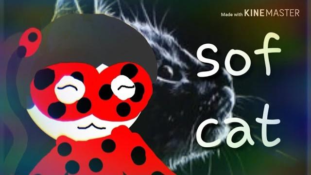 Para nayla, nueva intro Para nayla, nueva intro