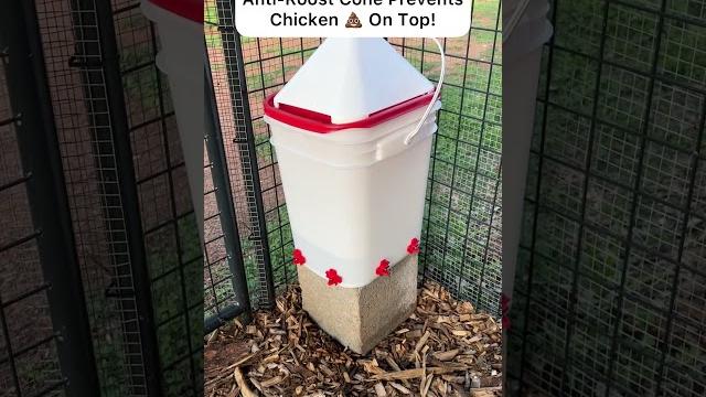 My favorite no-maintenance chicken waterer! My favorite no-maintenance chicken waterer!
