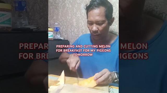 Preparing and cutting melon for breakfast for tomorrow for my pigeons #shorts#shortsvide#shortsviral Preparing and cutting melon for breakfast for tomorrow for my pigeons #shorts#shortsvide#shortsviral