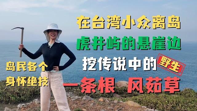 台湾离岛虎井挖宝!悬崖边捕获野生“一条根️” 澎湖限定风茹草 人生第一次挑战古井打水 台湾离岛虎井挖宝!悬崖边捕获野生“一条根️” 澎湖限定风茹草 人生第一次挑战古井打水
