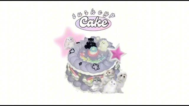 Cake - turkeyps Cake - turkeyps