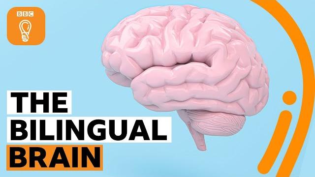 Why being bilingual is good for your brain | bbc ideas Why being bilingual is good for your brain | bbc ideas